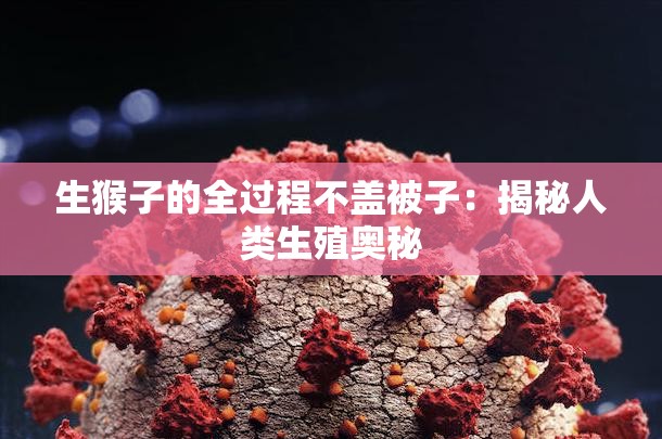 生猴子的全过程不盖被子:揭秘人类生殖奥秘 生猴子的全过程不盖被子:揭秘人类生殖奥秘