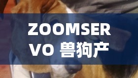 ZOOMSERVO 兽狗产品优势:品质卓越性能强劲用途广泛 ZOOMSERVO 兽狗产品优势:品质卓越性能强劲用途广泛