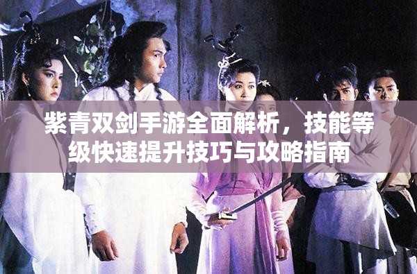 紫青双剑手游全面解析,技能等级快速提升技巧与攻略指南 紫青双剑手游全面解析,技能等级快速提升技巧与攻略指南