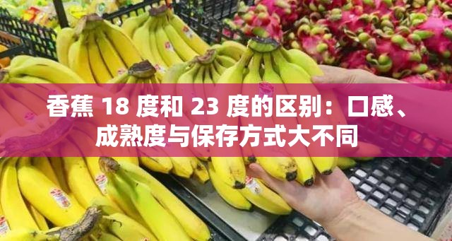 香蕉 18 度和 23 度的区别:口感、成熟度与保存方式大不同 香蕉 18 度和 23 度的区别:口感、成熟度与保存方式大不同