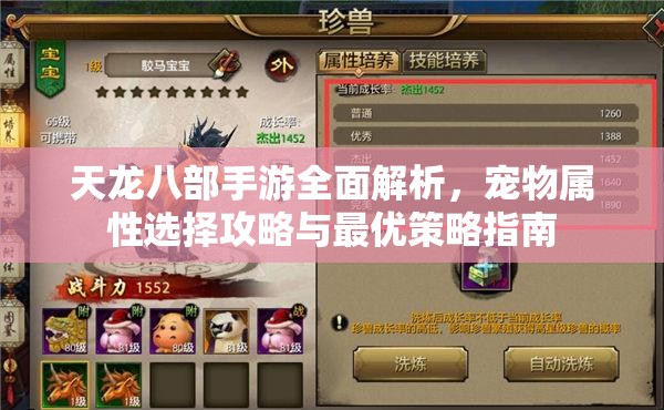 天龙八部手游全面解析,宠物属性选择攻略与最优策略指南 天龙八部手游全面解析,宠物属性选择攻略与最优策略指南