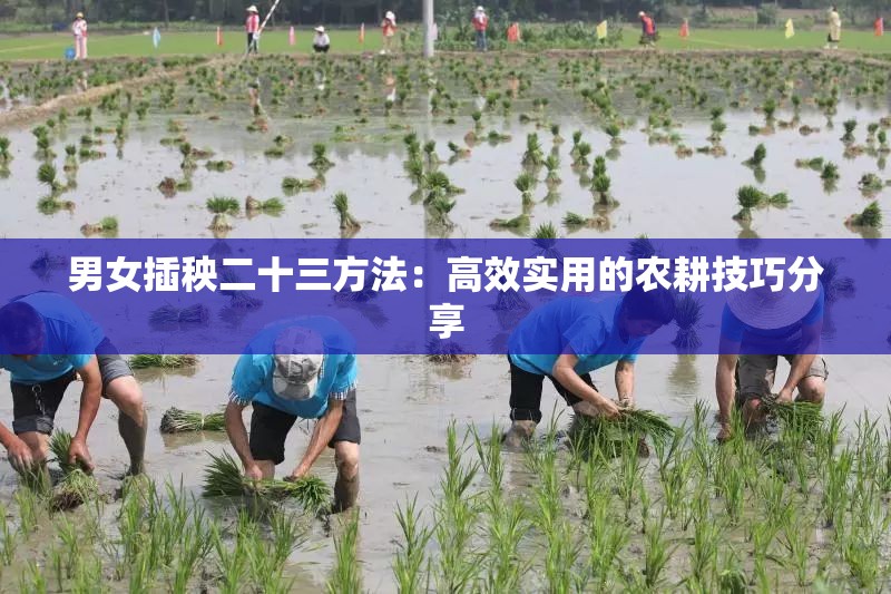 男女插秧二十三方法:高效实用的农耕技巧分享 男女插秧二十三方法:高效实用的农耕技巧分享