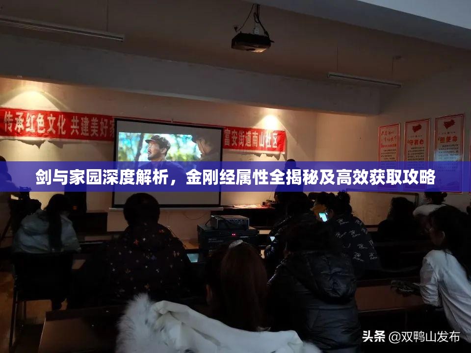 剑与家园深度解析,金刚经属性全揭秘及高效获取攻略 剑与家园深度解析,金刚经属性全揭秘及高效获取攻略