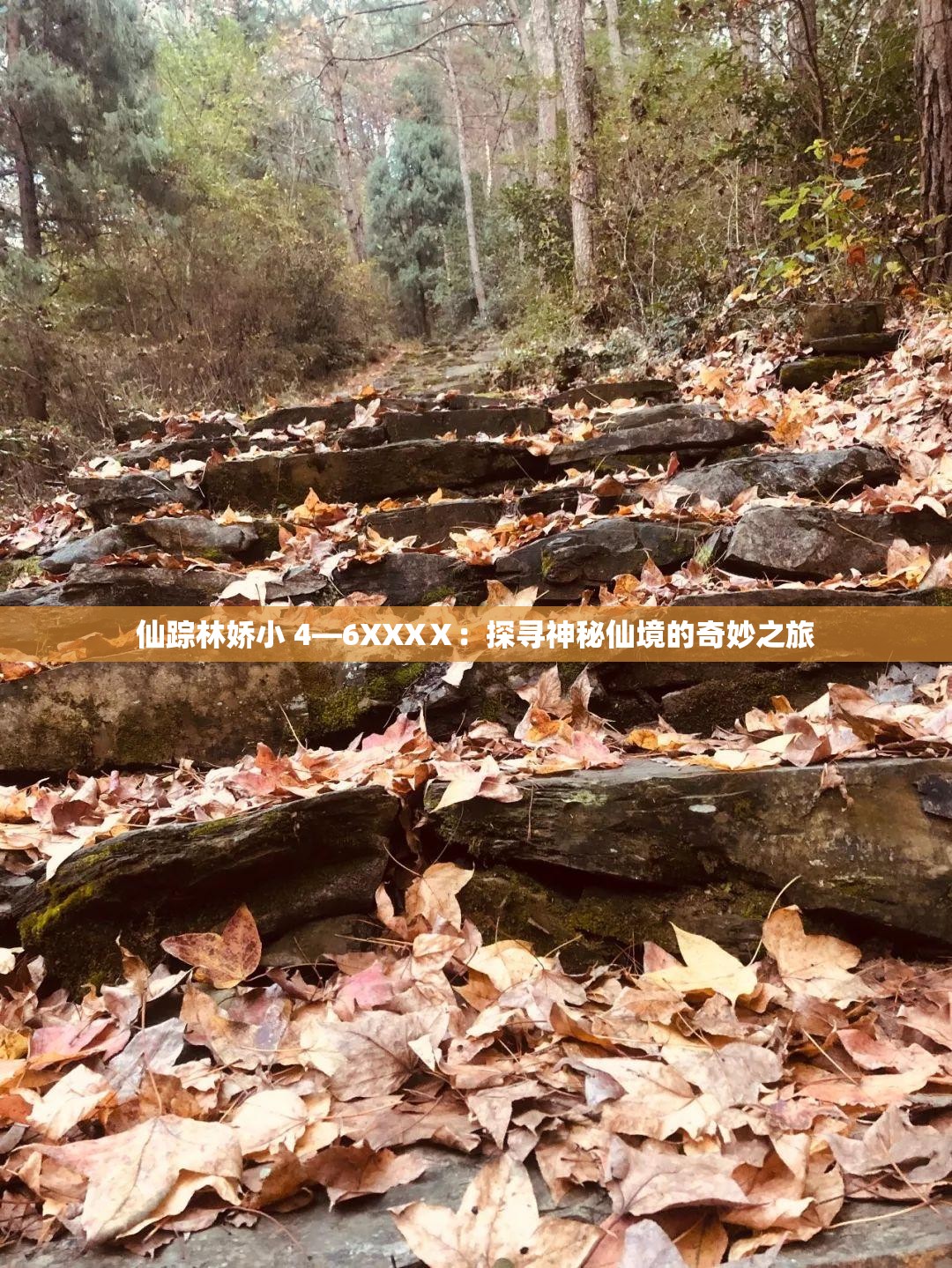 仙踪林娇小 4—6XXXⅩ:探寻神秘仙境的奇妙之旅 仙踪林娇小 4—6XXXⅩ:探寻神秘仙境的奇妙之旅