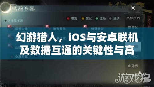 幻游猎人,iOS与安卓联机及数据互通的关键性与高效管理技巧解析 幻游猎人,iOS与安卓联机及数据互通的关键性与高效管理技巧解析