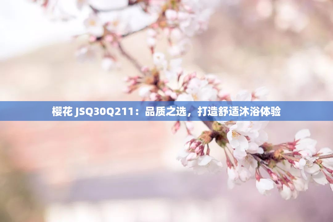 樱花 JSQ30Q211:品质之选,打造舒适沐浴体验 樱花 JSQ30Q211:品质之选,打造舒适沐浴体验