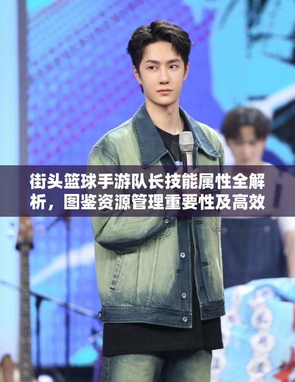 街头篮球手游队长技能属性全解析,图鉴资源管理重要性及高效策略应用 街头篮球手游队长技能属性全解析,图鉴资源管理重要性及高效策略应用