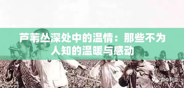 芦苇丛深处中的温情:那些不为人知的温暖与感动 芦苇丛深处中的温情:那些不为人知的温暖与感动