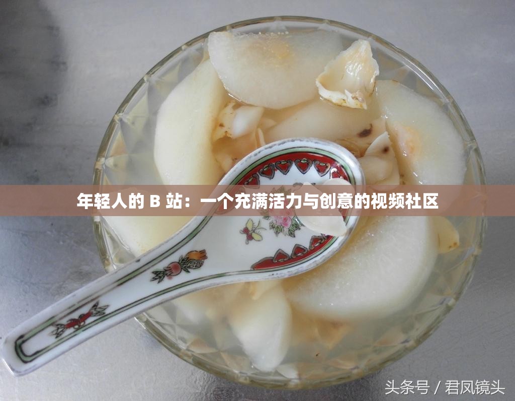 年轻人的 B 站:一个充满活力与创意的视频社区 年轻人的 B 站:一个充满活力与创意的视频社区