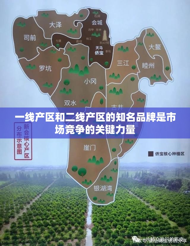 一线产区和二线产区的知名品牌是市场竞争的关键力量 一线产区和二线产区的知名品牌是市场竞争的关键力量
