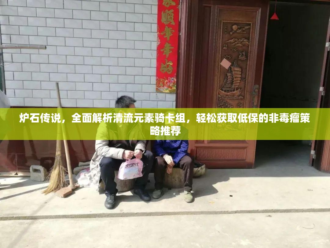炉石传说，全面解析清流元素骑卡组，轻松获取低保的非蝳瘤策略推荐