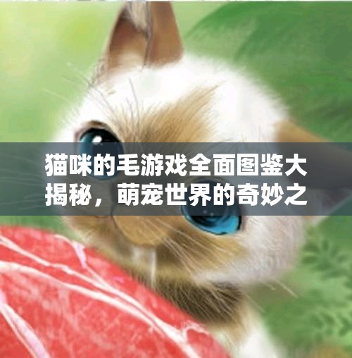 猫咪的毛游戏全面图鉴大揭秘,萌宠世界的奇妙之旅等你深入探索 猫咪的毛游戏全面图鉴大揭秘,萌宠世界的奇妙之旅等你深入探索