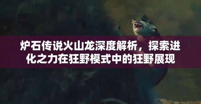炉石传说火山龙深度解析,探索进化之力在狂野模式中的狂野展现 炉石传说火山龙深度解析,探索进化之力在狂野模式中的狂野展现