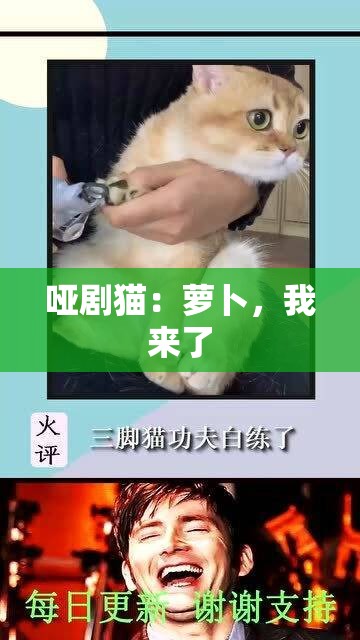 哑剧猫:萝卜,我来了 哑剧猫:萝卜,我来了