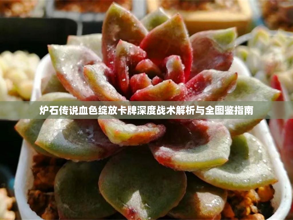 炉石传说血色绽放卡牌深度战术解析与全图鉴指南 炉石传说血色绽放卡牌深度战术解析与全图鉴指南