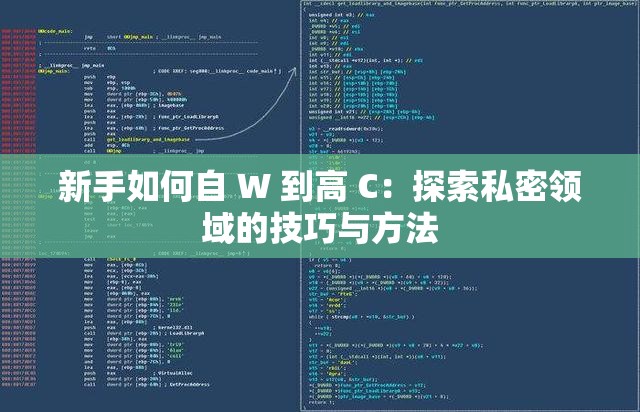 新手如何自 W 到高 C:探索私密领域的技巧与方法 新手如何自 W 到高 C:探索私密领域的技巧与方法