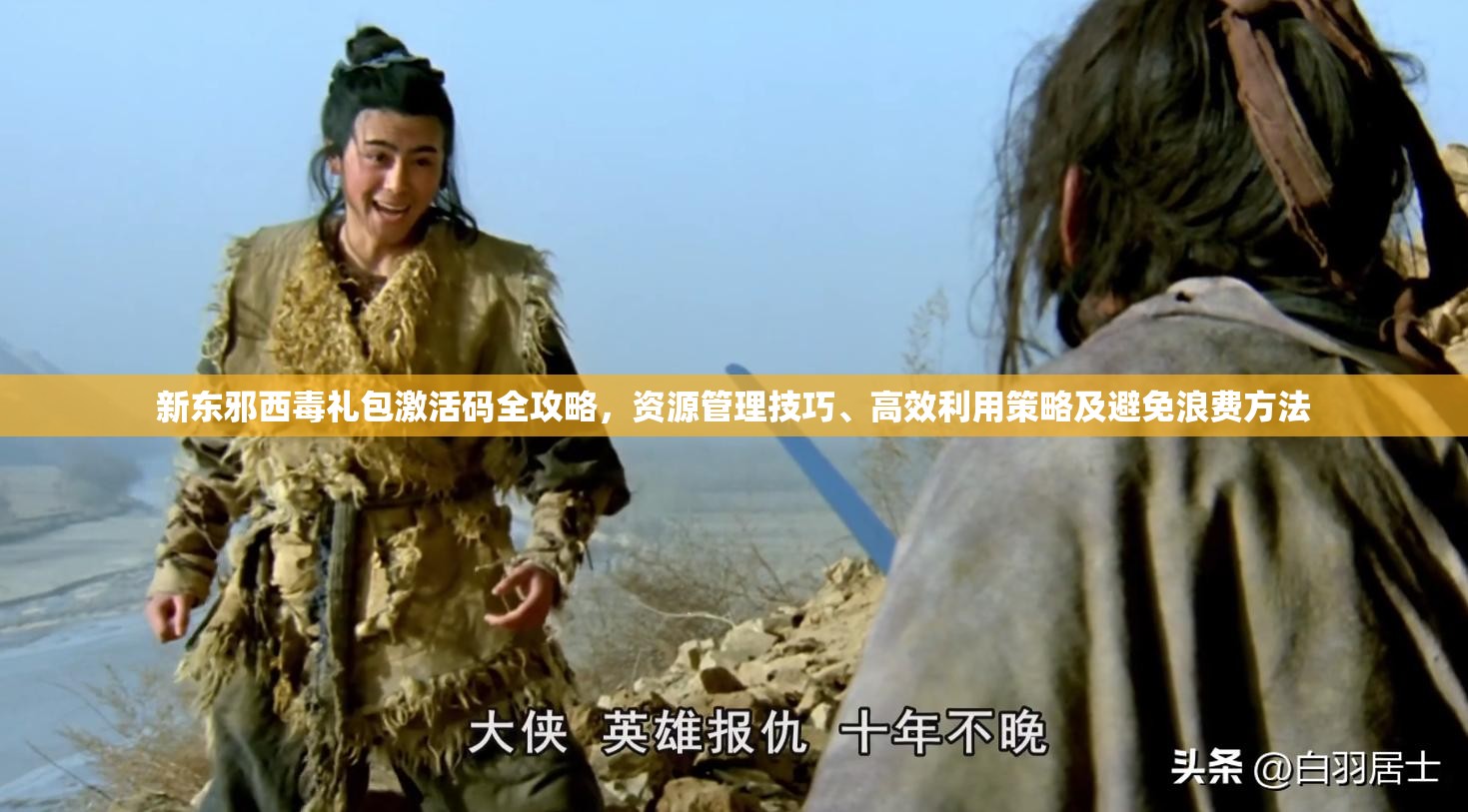 新东邪西蝳礼包激活码全攻略，资源管理技巧、高效利用策略及避免浪费方法