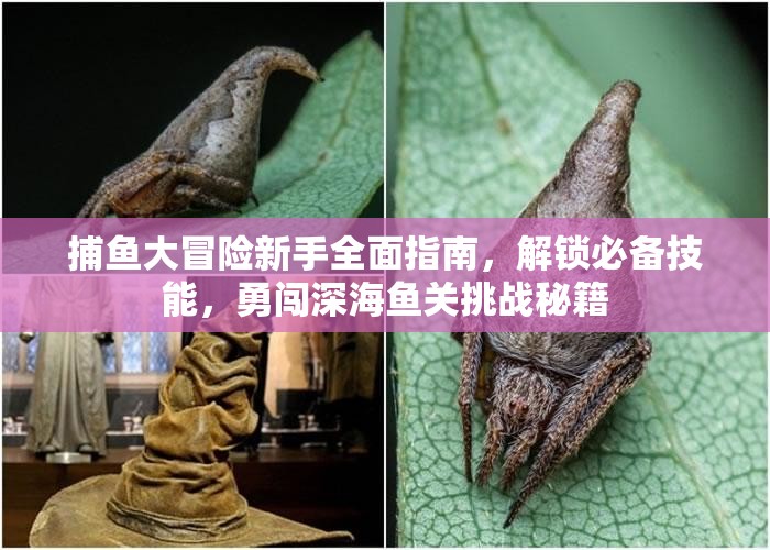 捕鱼大冒险新手全面指南,解锁必备技能,勇闯深海鱼关挑战秘籍 捕鱼大冒险新手全面指南,解锁必备技能,勇闯深海鱼关挑战秘籍