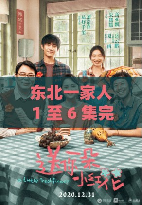 东北一家人 1 至 6 集完整版阅读:欢乐东北人家的故事 东北一家人 1 至 6 集完整版阅读:欢乐东北人家的故事