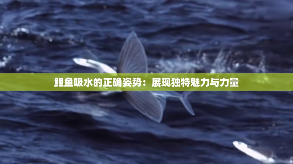 鲤鱼吸水的正确姿势:展现独特魅力与力量 鲤鱼吸水的正确姿势:展现独特魅力与力量