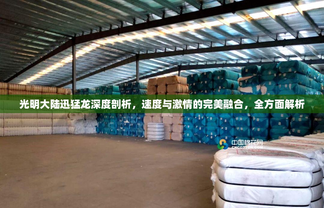 光明大陆迅猛龙深度剖析,速度与激情的完美融合,全方面解析 光明大陆迅猛龙深度剖析,速度与激情的完美融合,全方面解析