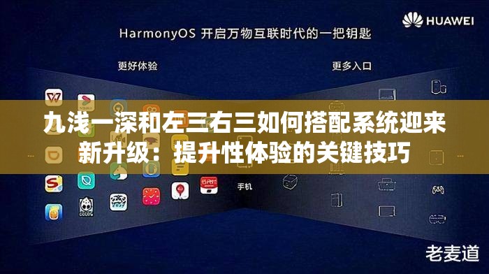 九浅一深和左三右三如何搭配系统迎来新升级:提升性体验的关键技巧 九浅一深和左三右三如何搭配系统迎来新升级:提升性体验的关键技巧