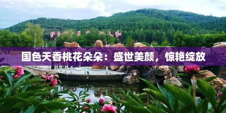 国色天香桃花朵朵:盛世美颜,惊艳绽放 国色天香桃花朵朵:盛世美颜,惊艳绽放