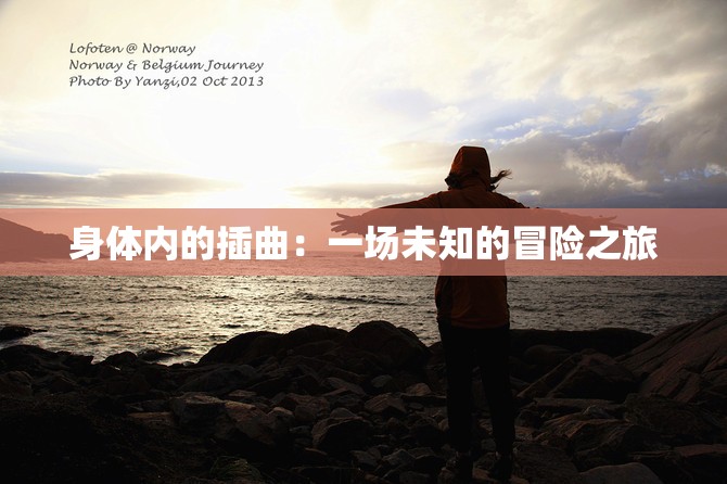 身体内的插曲:一场未知的冒险之旅 身体内的插曲:一场未知的冒险之旅