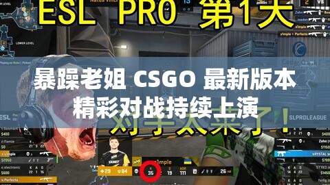 暴躁老姐 CSGO 最新版本精彩对战持续上演 暴躁老姐 CSGO 最新版本精彩对战持续上演