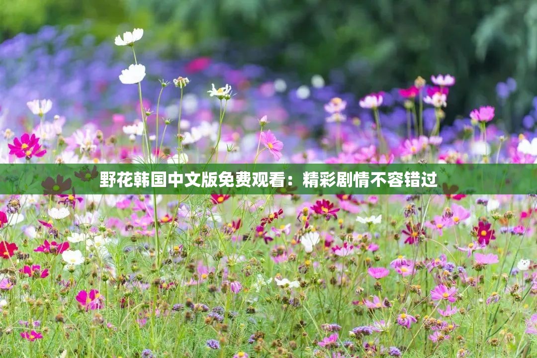 野花韩国中文版免费观看:精彩剧情不容错过 野花韩国中文版免费观看:精彩剧情不容错过