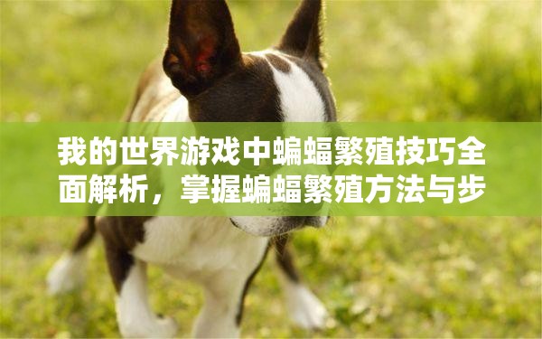 我的世界游戏中蝙蝠繁殖技巧全面解析,掌握蝙蝠繁殖方法与步骤 我的世界游戏中蝙蝠繁殖技巧全面解析,掌握蝙蝠繁殖方法与步骤