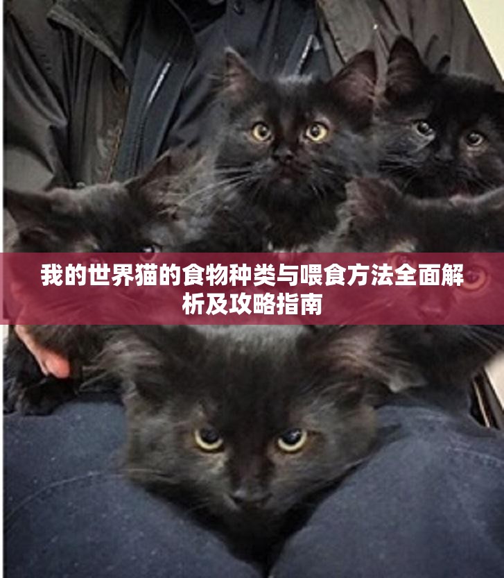 我的世界猫的食物种类与喂食方法全面解析及攻略指南 我的世界猫的食物种类与喂食方法全面解析及攻略指南