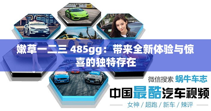 嫩草一二三 485gg:带来全新体验与惊喜的独特存在 嫩草一二三 485gg:带来全新体验与惊喜的独特存在