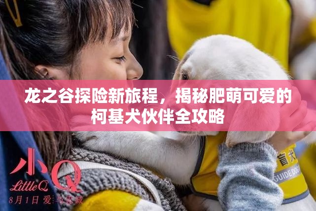 龙之谷探险新旅程,揭秘肥萌可爱的柯基犬伙伴全攻略 龙之谷探险新旅程,揭秘肥萌可爱的柯基犬伙伴全攻略