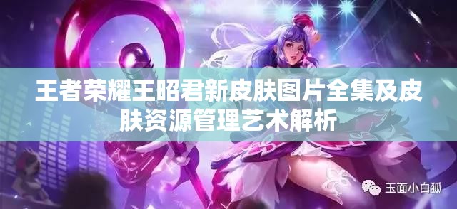 王者荣耀王昭君新皮肤图片全集及皮肤资源管理艺术解析 王者荣耀王昭君新皮肤图片全集及皮肤资源管理艺术解析