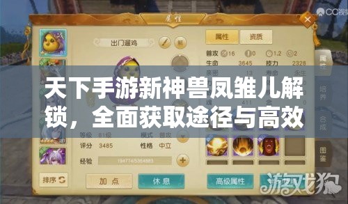 天下手游新神兽凤雏儿解锁,全面获取途径与高效培养攻略 天下手游新神兽凤雏儿解锁,全面获取途径与高效培养攻略