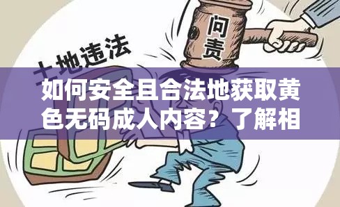 如何安全且合法地获取璜铯无码成年人内容?了解相关法律与隐私保护措施至关重要 如何安全且合法地获取璜铯无码成年人内容?了解相关法律与隐私保护措施至关重要