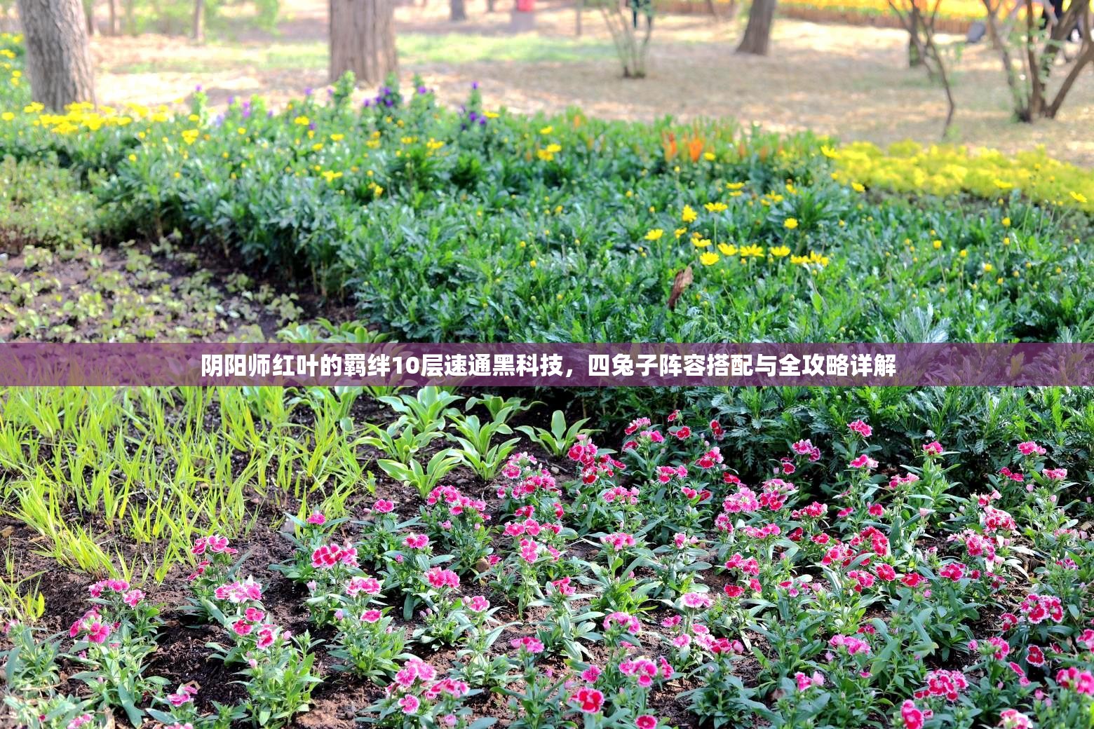阴阳师红叶的羁绊10层速通黑科技,四兔子阵容搭配与全攻略详解 阴阳师红叶的羁绊10层速通黑科技,四兔子阵容搭配与全攻略详解