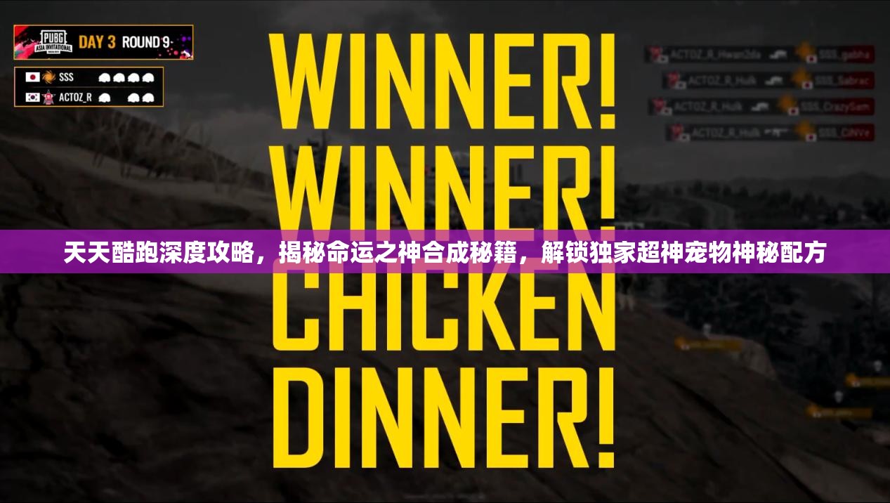 天天酷跑深度攻略,揭秘命运之神合成秘籍,解锁独家超神宠物神秘配方 天天酷跑深度攻略,揭秘命运之神合成秘籍,解锁独家超神宠物神秘配方