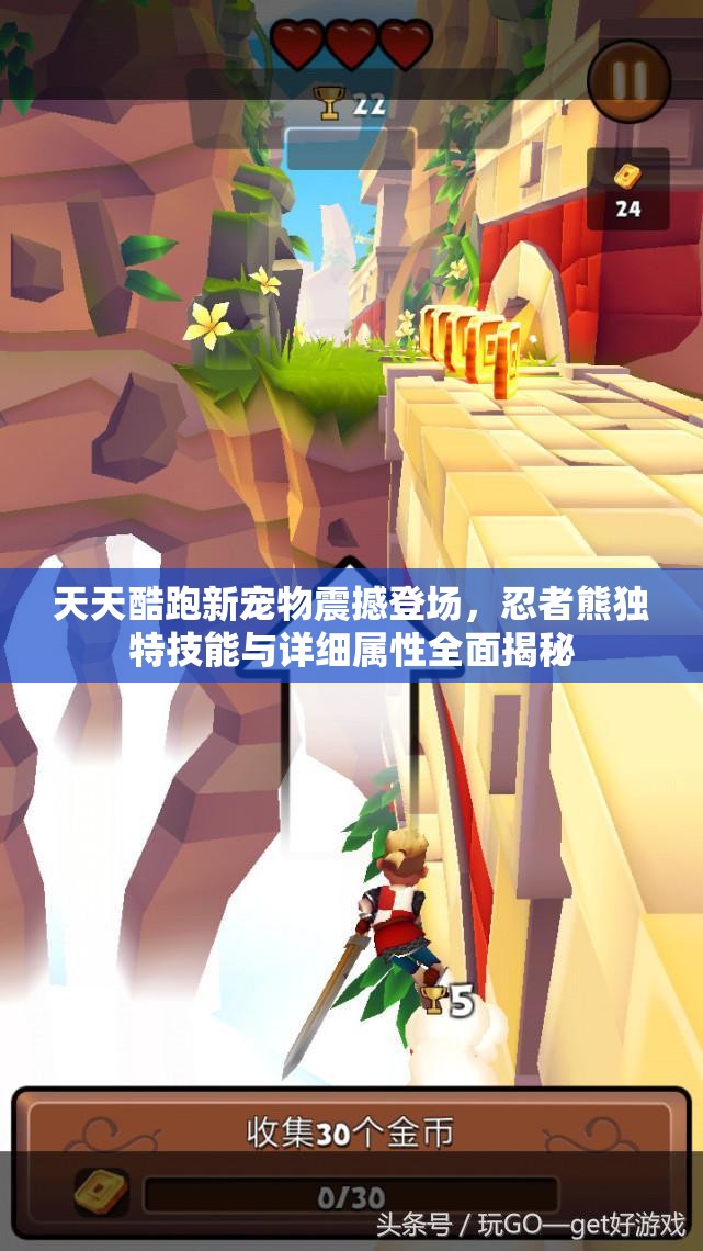 天天酷跑新宠物震撼登场,忍者熊独特技能与详细属性全面揭秘 天天酷跑新宠物震撼登场,忍者熊独特技能与详细属性全面揭秘