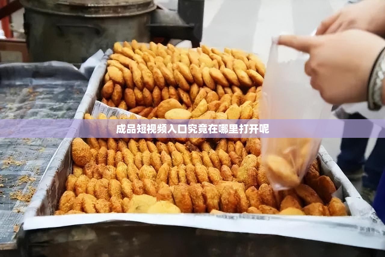 成品短视频入口究竟在哪里打开呢