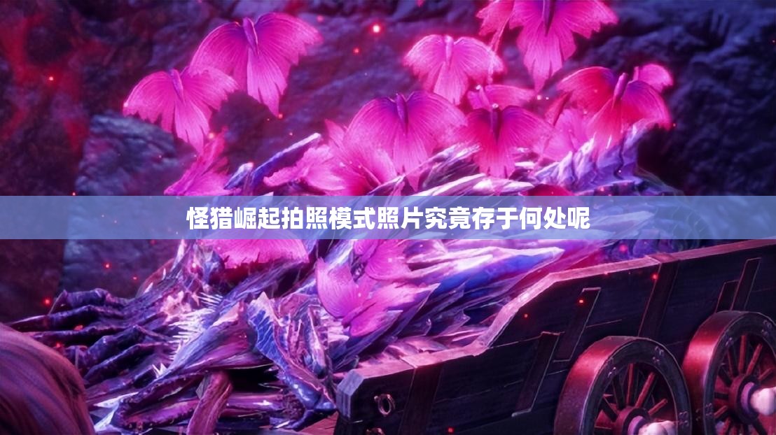 怪猎崛起拍照模式照片究竟存于何处呢