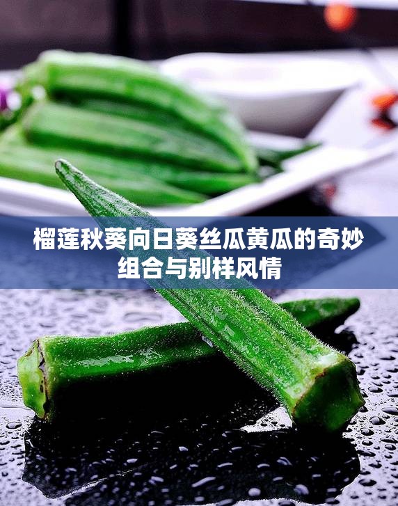 榴莲秋葵向日葵丝瓜黄瓜的奇妙组合与别样风情