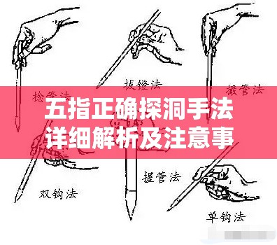 五指正确探洞手法详细解析及注意事项