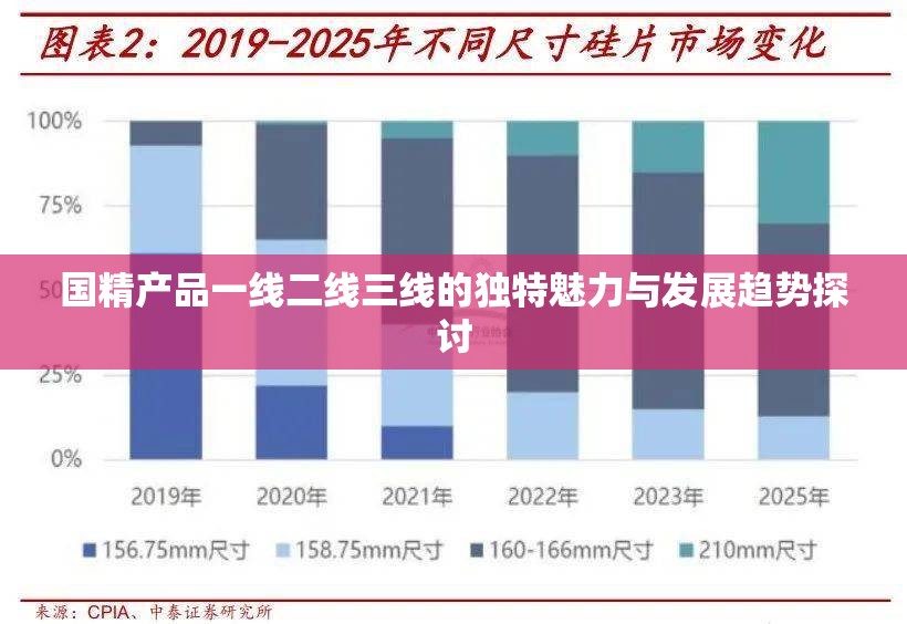 国精产品一线二线三线的独特魅力与发展趋势探讨