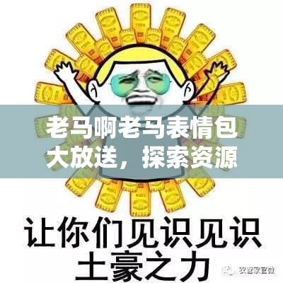 老马啊老马表情包大放送，探索资源管理新视角，揭秘高效利用策略