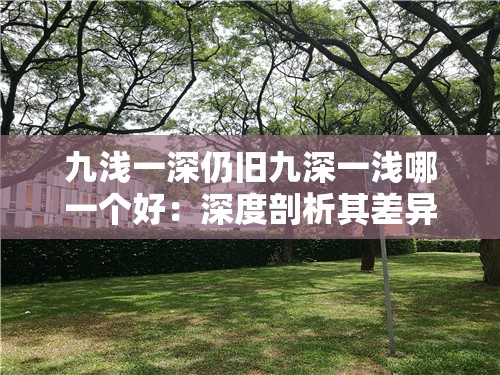 九浅一深仍旧九深一浅哪一个好：深度剖析其差异与优劣