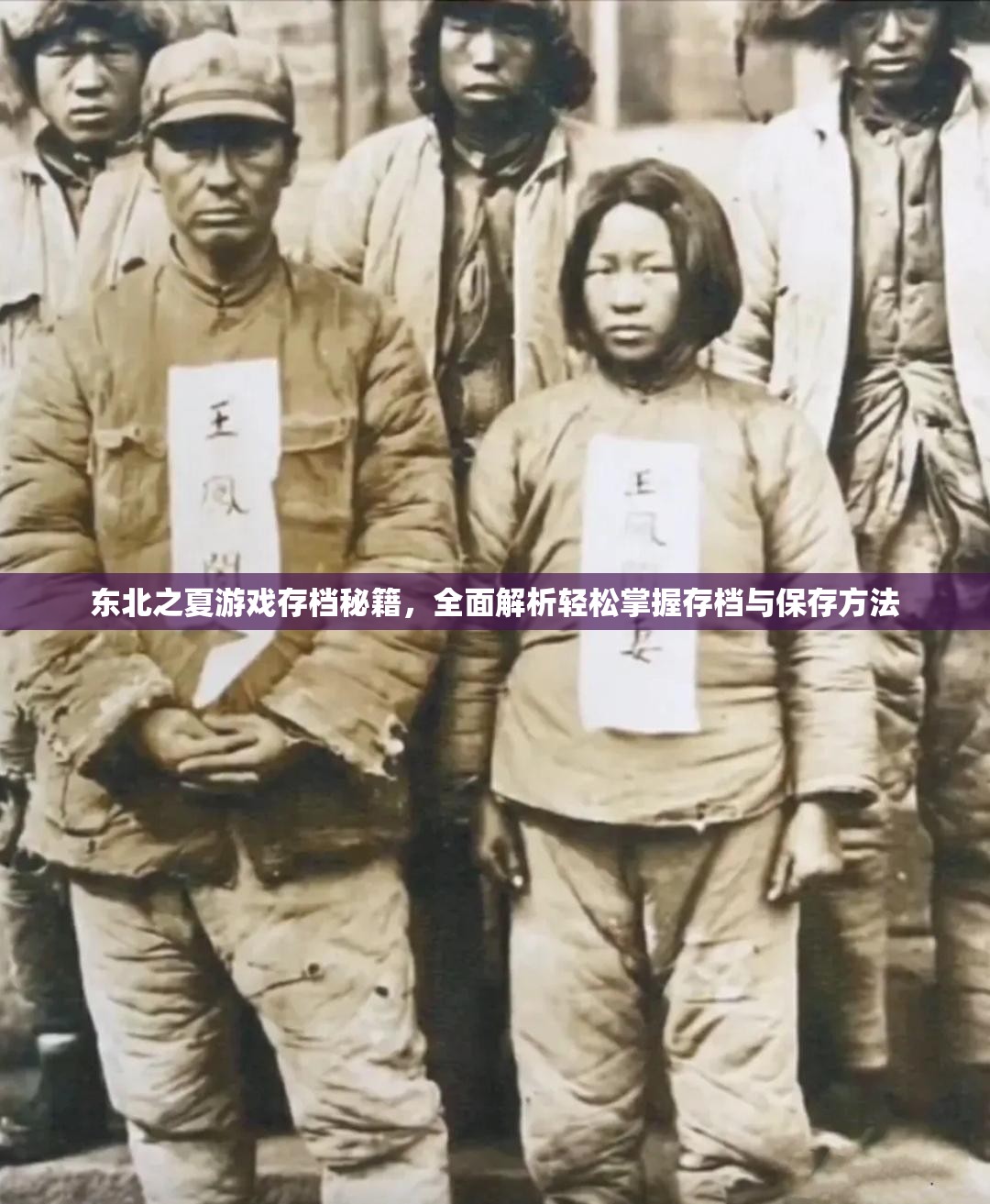 东北之夏游戏存档秘籍，全面解析轻松掌握存档与保存方法