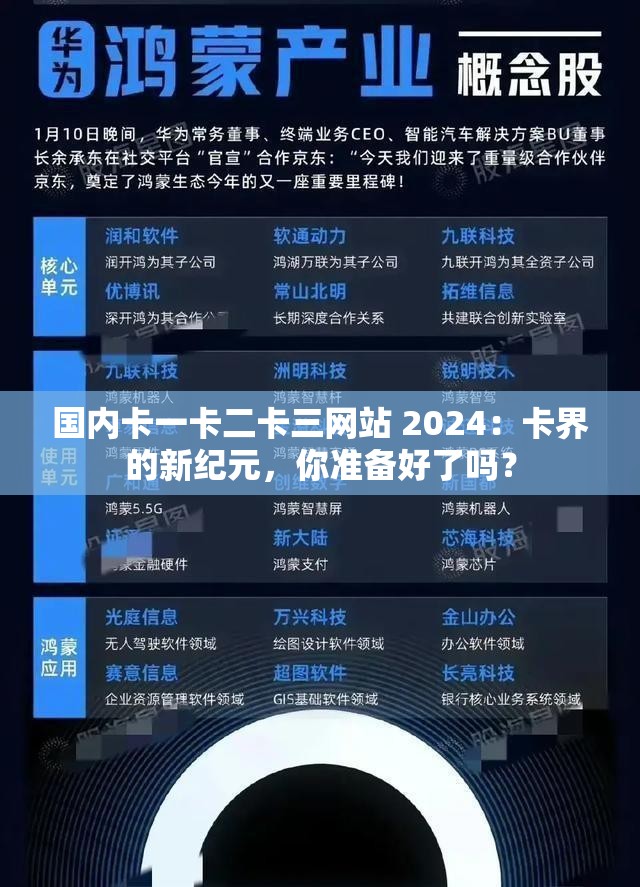 国内卡一卡二卡三网站 2024：卡界的新纪元，你准备好了吗？