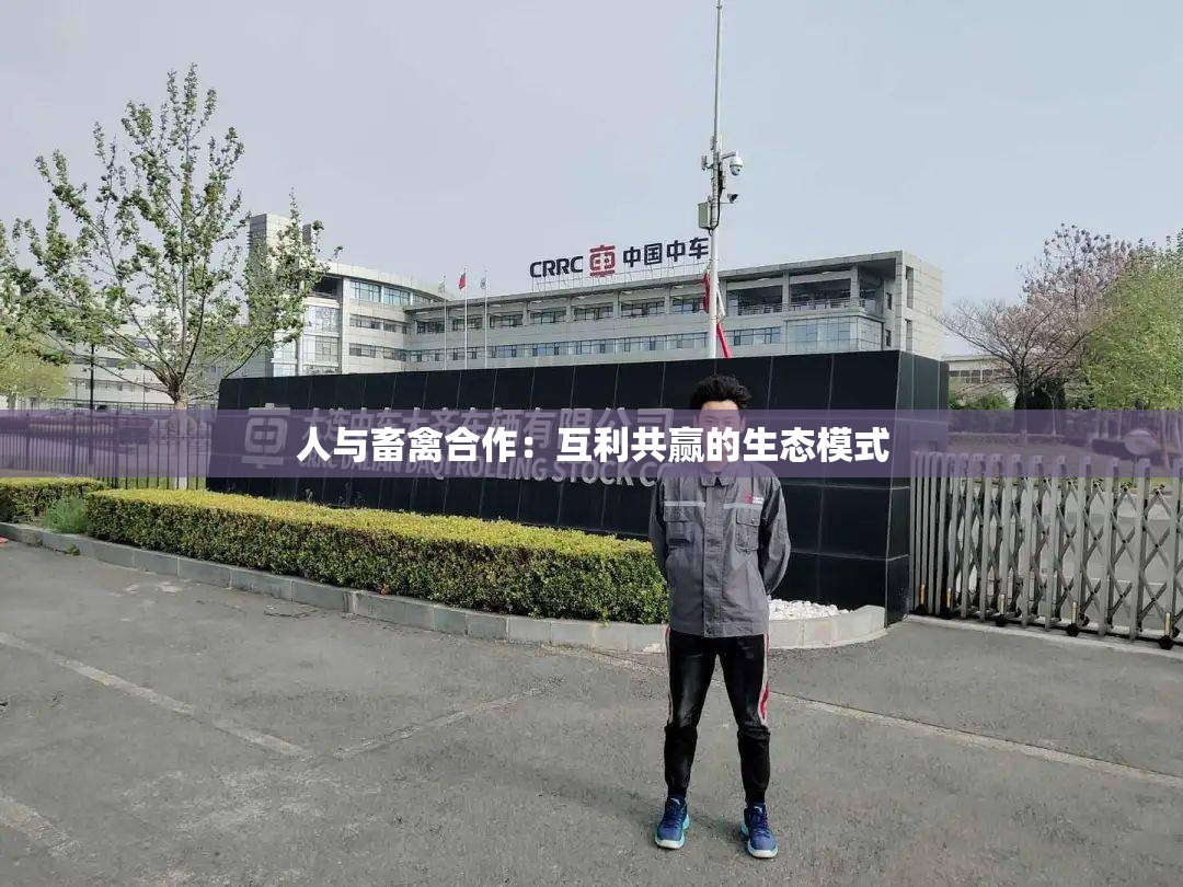 人与畜禽合作：互利共赢的生态模式